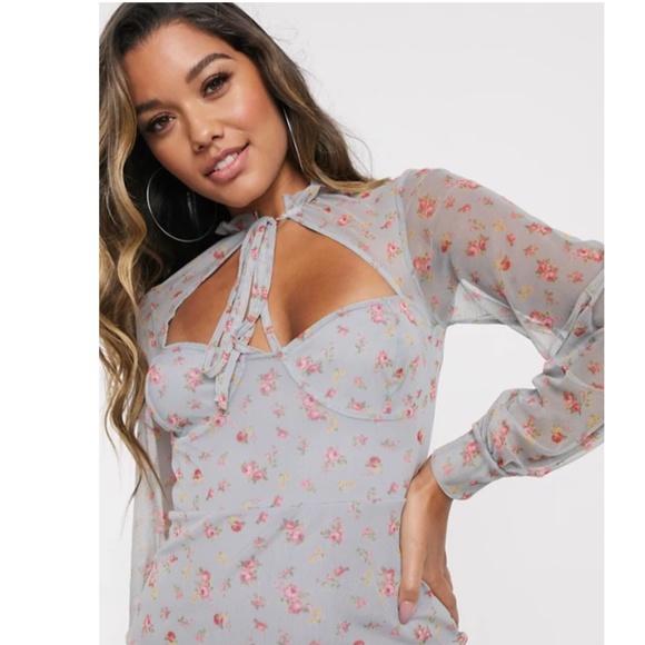 NEW ASOS Dobby Mesh Floral Print Mini Dress - Picture 4 of 13
